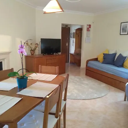 公寓 Baleal Terrace+bbq+tenis And Pool - Baleal Holidays